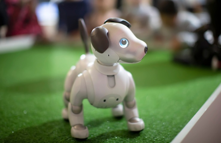 Un cane robot