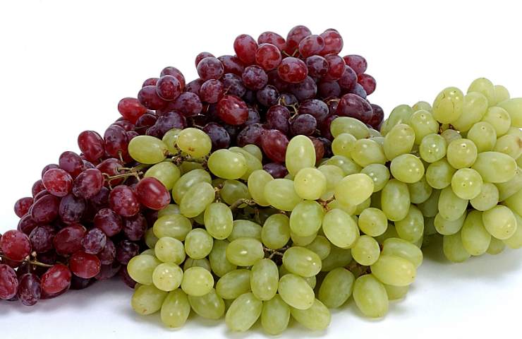 Una rossa ed uva verde